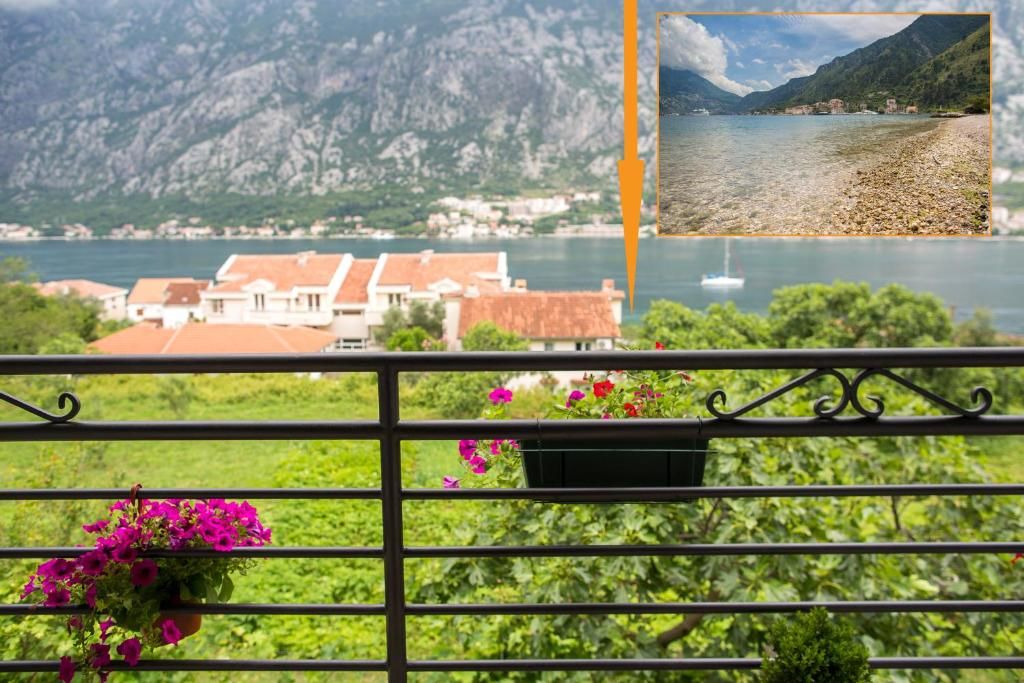 Апартаменты Apartment Bambo Tre Sorrele Котор